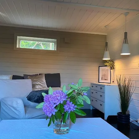 Cosy And Well-equipped With Free Parking * Trondheim