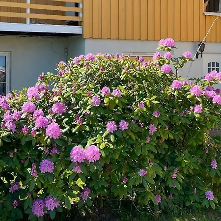 Daire Cosy And Well-equipped With Free Parking Trondheim