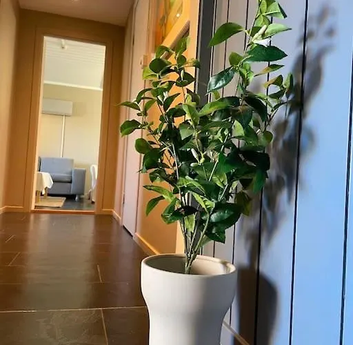 Apartament Cosy And Well-equipped With Free Parking *